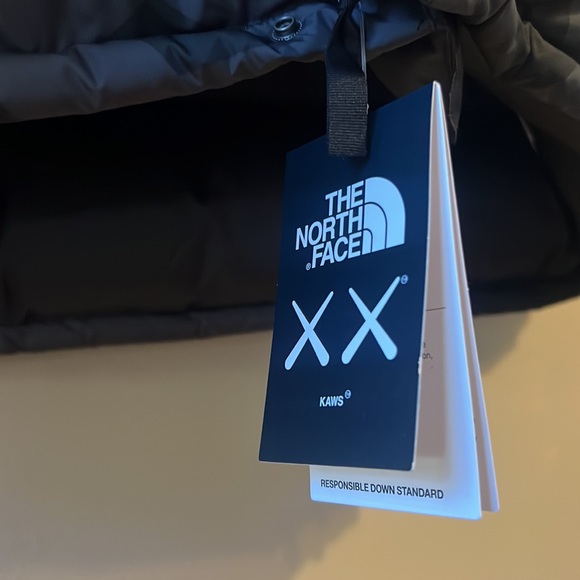 COPY - The North Face x Kaws 94 Himalayan down jacket - Picture 4 of 5
